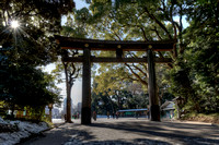 Yoyogi Park Gate