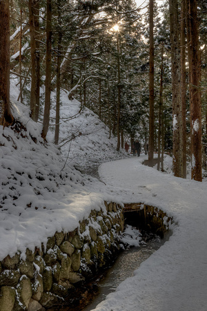 Nagano Snow Monkey Park