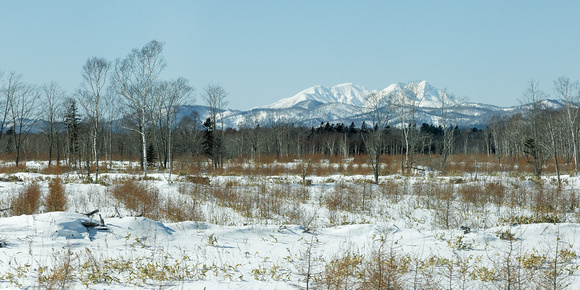 Hokkaido Landscape