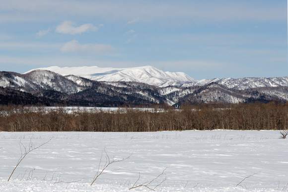 Hokkaido Landscape